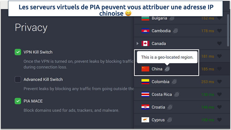 Screenshot of PIA's privacy settings and virtual servers in the app